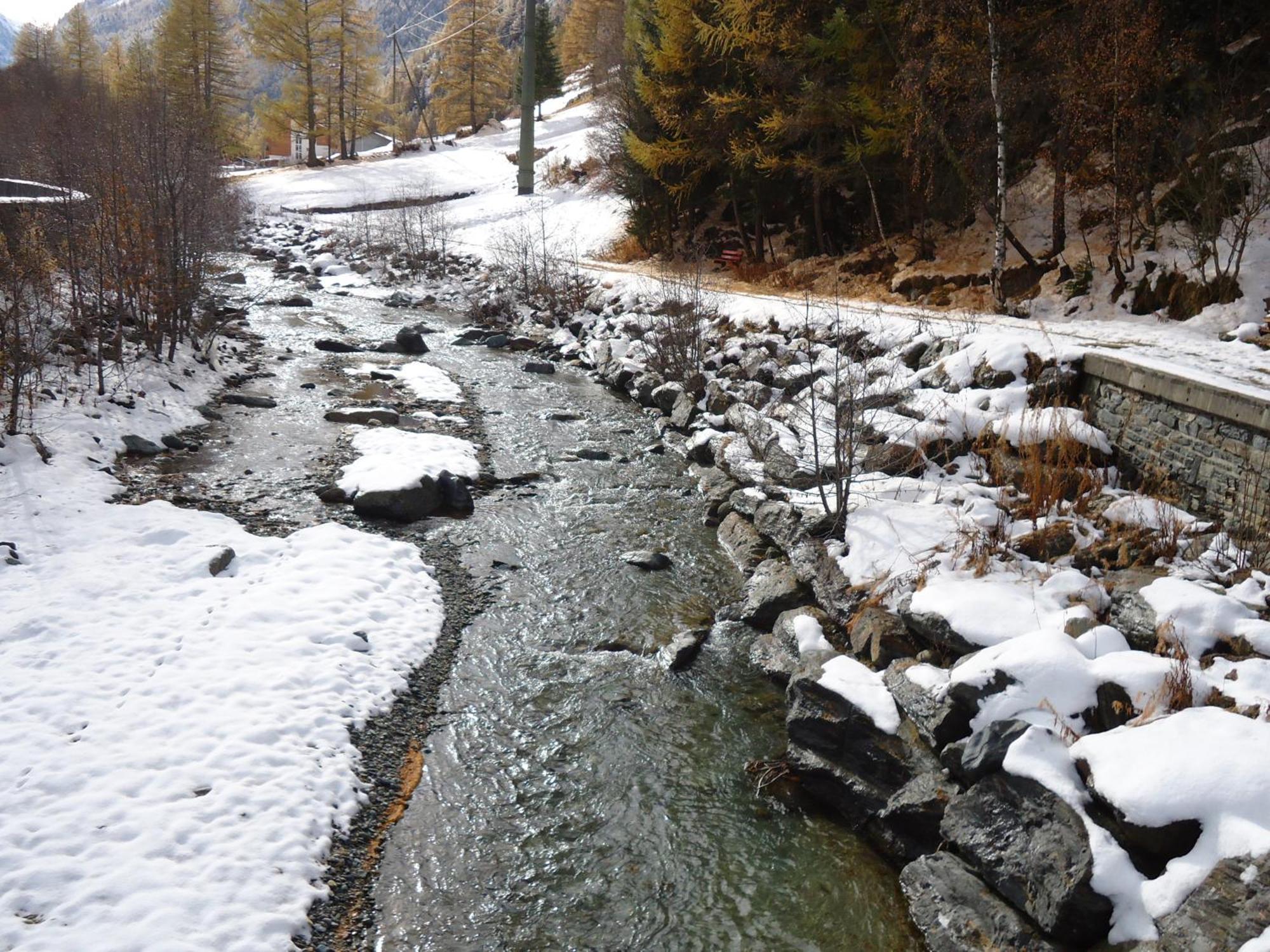 Appartamento Haus Pickelschmiede Saas-Grund Esterno foto